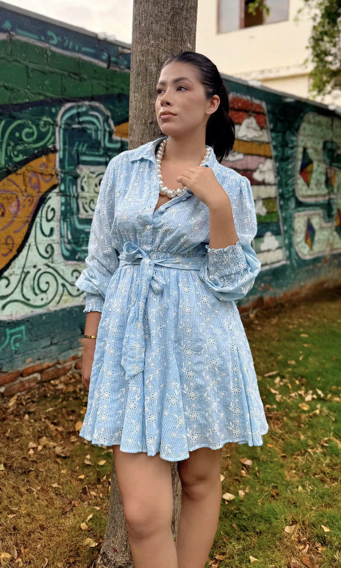 Vestido Corto Camisero Bordado 